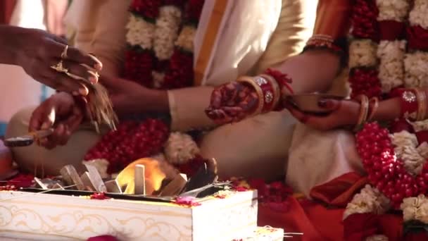 Upacara Pernikahan Tradisional India Depan Api Suci Sebuah Kuil Pengantin — Stok Video