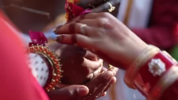 在神圣的印度教宗教仪式上 一个印度老太太牵着花瓣 修行期间在庙宇举行祷告会 — 图库视频影像