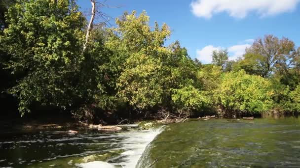 Agua Que Fluye Sobre Gran Lecho Arroyo Rocoso Cascada Centro — Vídeo de stock
