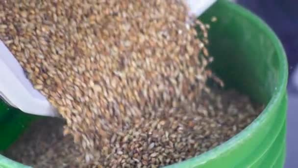 Brasseur Emballe Grain Pour Transport 240 Ips — Video