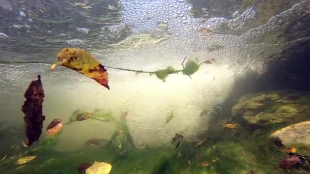 Bajo Agua Atrapada Bajo Corriente Una Cascada Cámara Lenta Cascada — Vídeos de Stock
