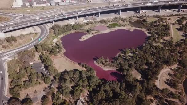 Drone Footage Pink Lake Next Highway Westgate Park Melbourne Ausztrália — Stock videók