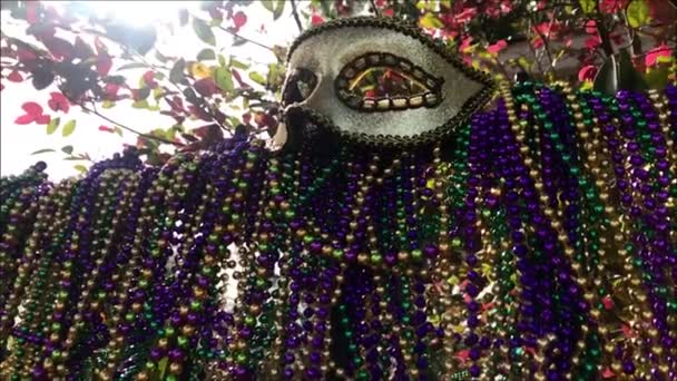 Cámara Lenta Pan Perlas Flor Lis Mardi Gras Máscara Valla — Vídeo de stock