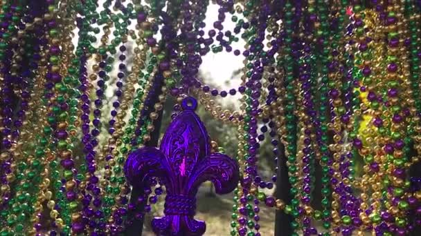 Slow Motion Hand Held Fleur Lis Beads Covering Iron Fence — Wideo stockowe