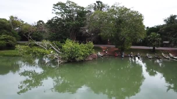 Drone Footage Stork Aan Het Meer Sri Lanka — Stockvideo