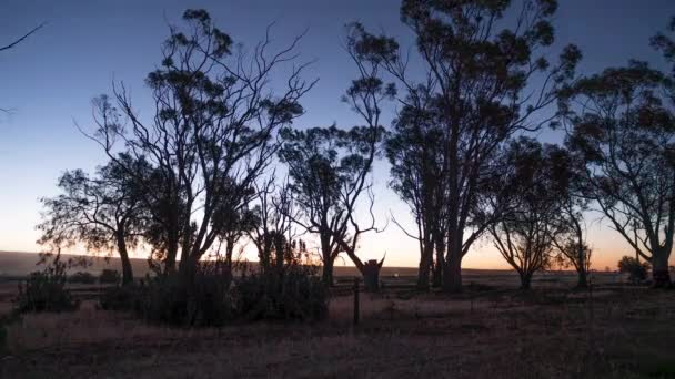 Time Lapse Sunet Redhill Ustralia Outback — 비디오