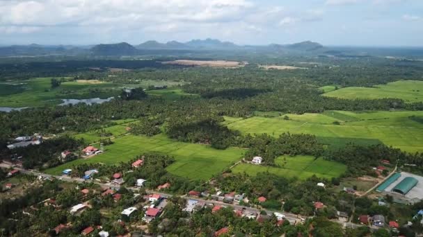 Vue Ensemble Des Différents Wirawila Countryside Sri Lanka — Video