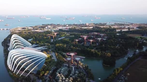 Drone Footage Gardens Bay Singapore — Αρχείο Βίντεο