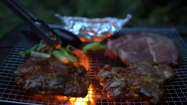 Outdoor Barbecue Shot Van Het Koken Van Heerlijk Vlees Groenten — Stockvideo