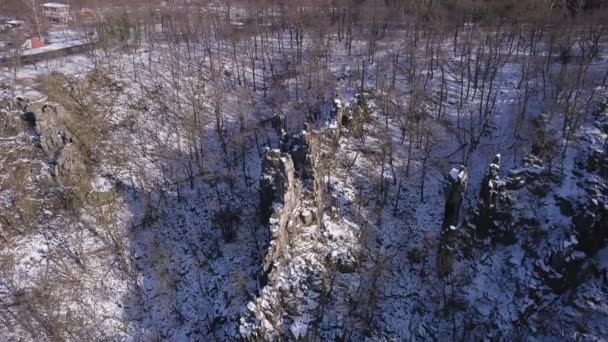 Hexentanzplatz Thale Forest Harz Allemagne — Video