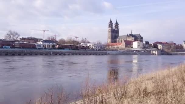 有狗的磁Burg中Elbe的4K Riverside — 图库视频影像