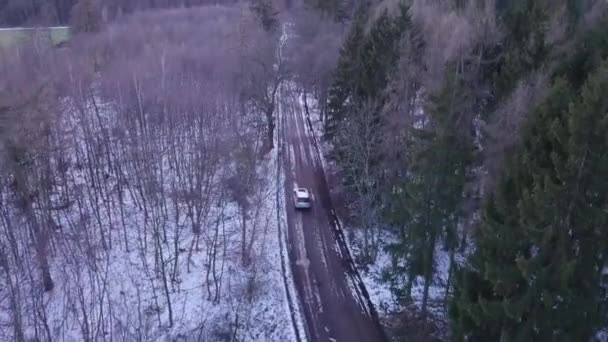 Suv Drives Forest Dear Meisdorf Harz Germany — 图库视频影像