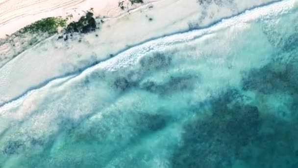 Havsvatten Ringar Bildar Våg Kusten Stranden Mexiko — Stockvideo