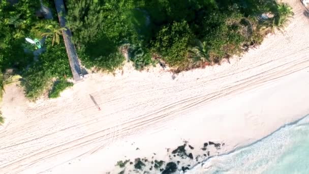 Dron Schodzący Przybrzeżną Plażę Meksyku Ciągu Dnia — Wideo stockowe