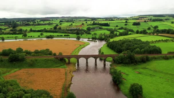 Luchtfoto Dolly Schot Kijkend Een Gebogen Rivier Met Een Spoorviaduct — Stockvideo