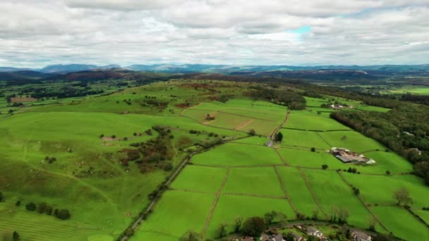 Vue Aérienne Générale Terres Agricoles Vertes Dans Les Terres Agricoles — Video