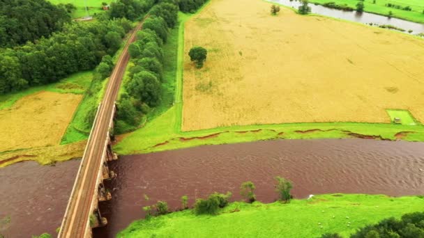 Tracciamento Aereo Girato Guardando Fiume Che Scorre Sotto Viadotto Ferroviario — Video Stock