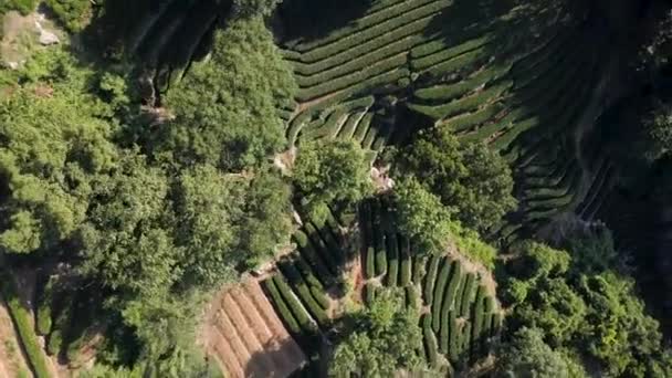 Vuelo Sobre Campos Cerca Hangzhou China — Vídeos de Stock