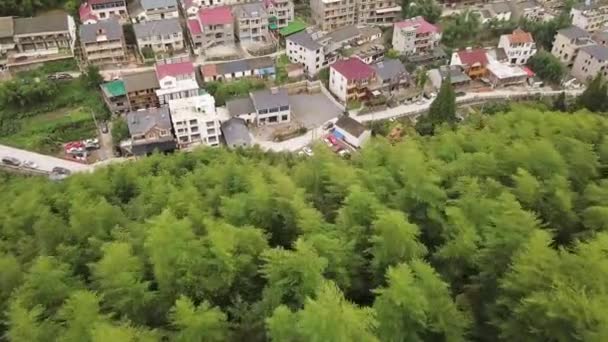 Flight Över Bambuskogen Till Moganshan Provinsen Zhejiang Kina — Stockvideo