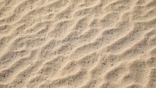 Gros Plan Sur Les Lignes Sable Dans Désert Arabe Koweït — Video