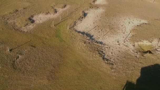 Sel Köpükleri Okyanus Dalgaları Rancho Uruguay Sahilindeki Bir Karanın Çitleri — Stok video