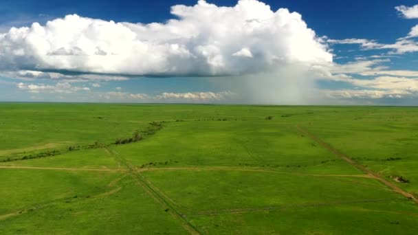 Drone Beelden Van Barstende Regen Boven Vers Groen Australische Outback — Stockvideo