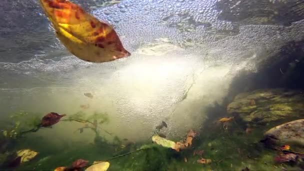 Bajo Agua Cámara Lenta Más Allá Romper Una Cascada Una — Vídeos de Stock