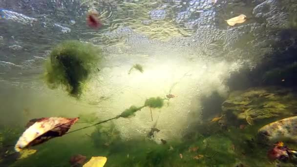 Медленное Движение Водой Сразу После Разрыва Водопада Пузырьки Каскадом Большая — стоковое видео