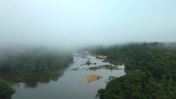 Flygfoto Amazonfloden Som Rinner Genom Dimmig Tropisk Regnskog — Stockvideo