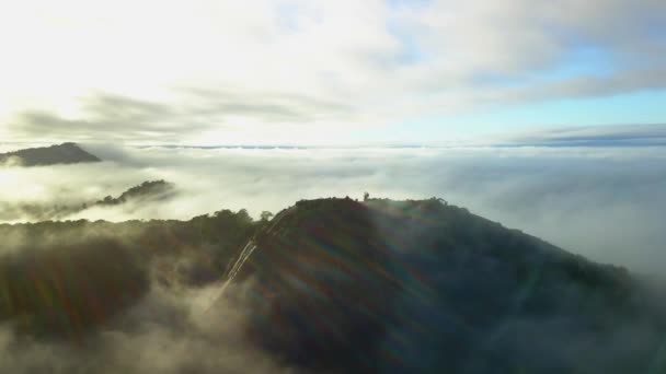 Montagne Dôme Granit Voltzberg Réserve Naturelle Centrale Suriname Vue Aérienne — Video