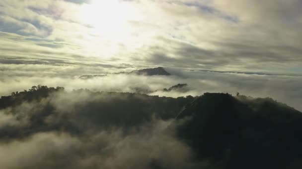 Гора Вольцберг Возвышающаяся Над Туманными Тропическими Лесами Суринама Вид Воздуха — стоковое видео