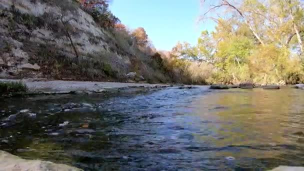 Panning Left Flowing Creek Rightmost Trees Water Lit Colorfully Sun — Stock Video