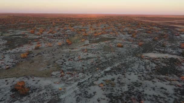 Images Drones Camping Coopers Creek Sur Birdsville Track Dans Extrême — Video