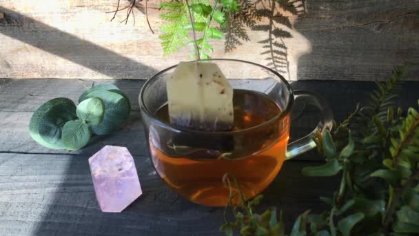 Hogy Természet Ihlette Tiszta Üveg Csésze Tea Gyógyító Rezgések — Stock videók