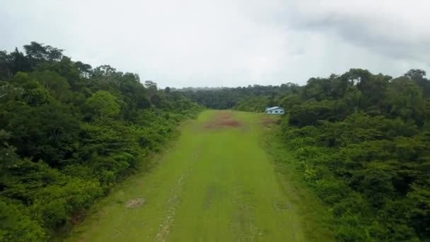 Pista Pouso Remota Floresta Tropical Selva Ponto Vista Aeronave — Vídeo de Stock