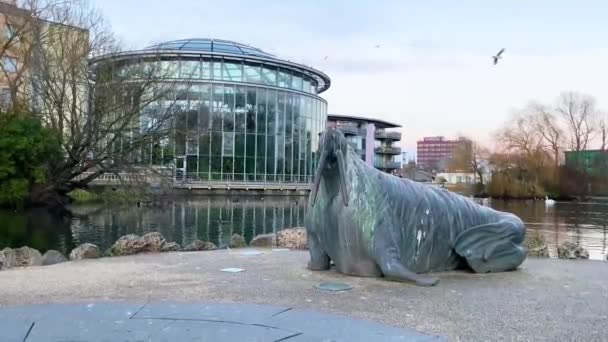 Groot Walrus Standbeeld Voor Een Grote Kas Een Stadspark Nog — Stockvideo