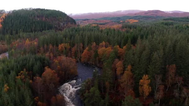 Flygdrönare Flyger Över Floden Rapids Skottland Autumn — Stockvideo