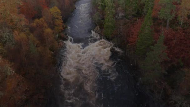 Flygdrönare Flyger Över Floden Rapids Skottland Hösten — Stockvideo
