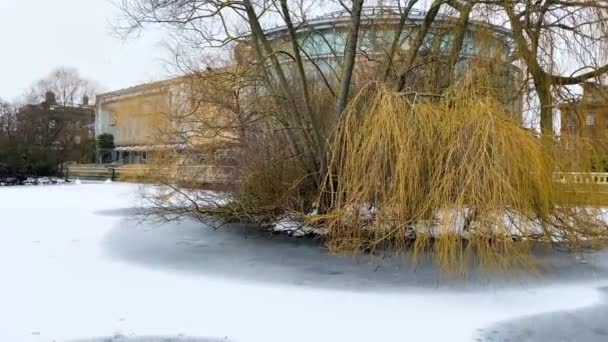 Ein Zugefrorener See Einem Stadtpark Während Der Schnee Sanft Fällt — Stockvideo