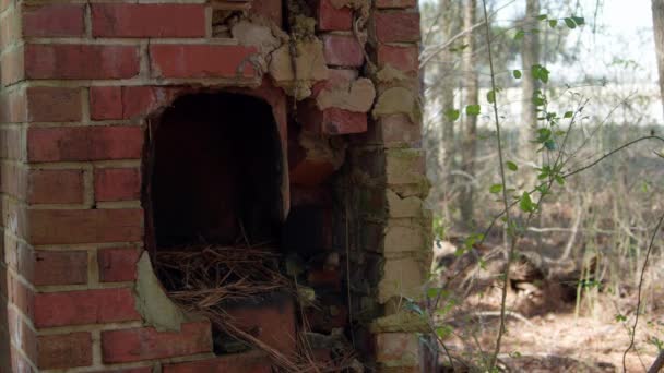 Дыра Кирпичной Стене Заброшенного Здания Мотеля Северной Каролине — стоковое видео