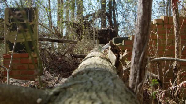 Schuss Von Einem Baum Durch Ein Zerstörtes Motelgebäude North Carolina — Stockvideo
