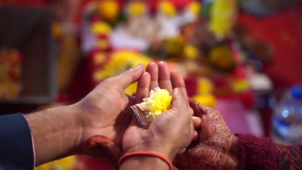 Närbild Händerna Två Personer Som Innehar Blomblad Religiös Ceremoni Indien — Stockvideo