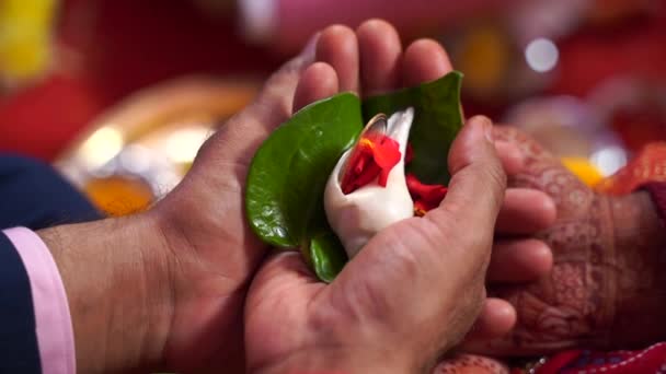 Närbild Skott Händer Två Personer Som Dyrkar Hindu Tempel Indien — Stockvideo