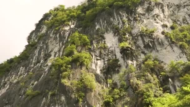 桂林中国の山のカルストの木や低木 — ストック動画