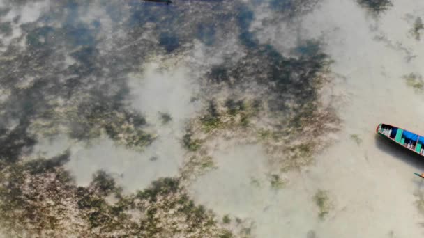 Lokale Vissersboot Ligt Leeg Ondiep Water Bij Saint Marie Madagaskar — Stockvideo