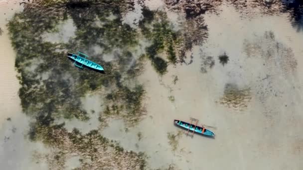 Los Barcos Pesca Locales Sientan Aguas Poco Profundas Saint Marie — Vídeos de Stock