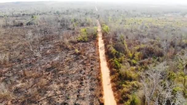 马达加斯加农村的土路 无人机航空视图 — 图库视频影像