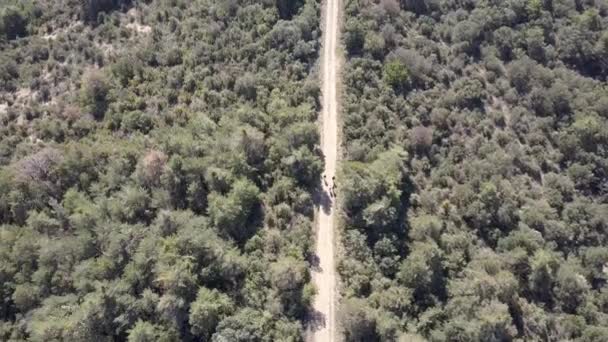 Luftaufnahme Von Wanderern Auf Einem Schönen Bergpfad Spanien — Stockvideo