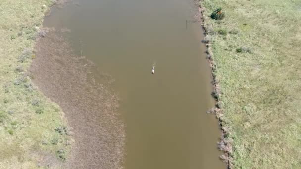 Actividades Remo Santa Lucía Drone Vista Aérea Gente Remando Kayak — Vídeo de stock