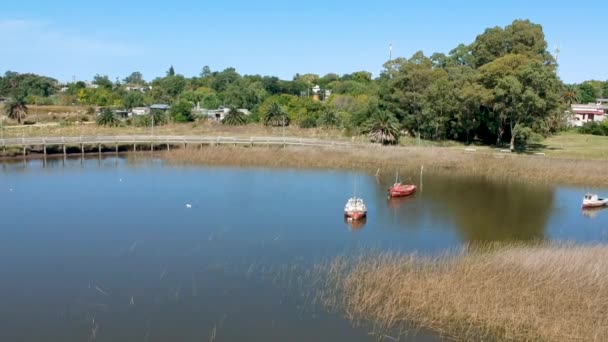 没有人在灰水上划船 日用水上快艇过桥 — 图库视频影像